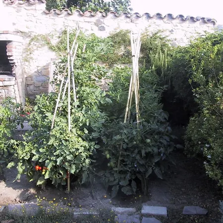 B&b&books Gelsomina * Lunamatrona
