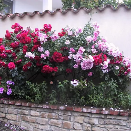 B&b&books Gelsomina Bed & Breakfast